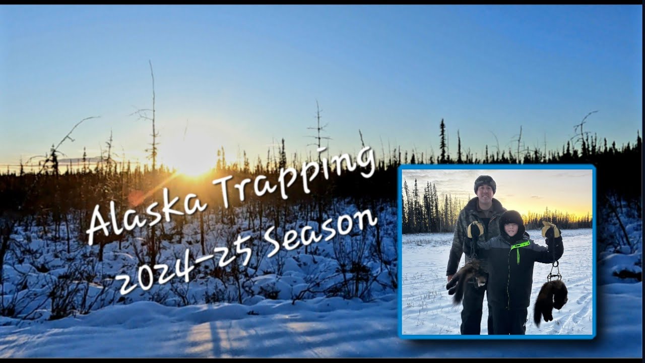 Trapping Alaska, First Furs 2024-25 Season! | Martin/Fox