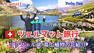 【ツェルマット旅行】ゴルナーグラート鉄道/リッフェル湖で感動の逆さマッターホルンと高山植物の花紹介/フルカ峠