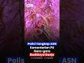 VIDEO 9 Video thumbnail