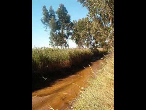 Terra Que Canto video