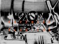 1995 20th Century Fox Home Entertainment In Panda Major