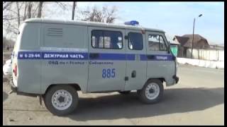 Незаконная рубка лесных насаждений карается законом