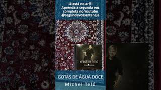Lembra dessa? "Gotas de água doce" - Michel Teló | Segunda Voz Sertaneja 🎙️