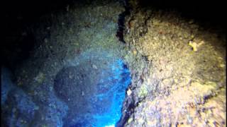 preview picture of video 'Bell Cave (West Reef) à Wied iz Zurrieq - Malte / Malta (Corsair Diving)'