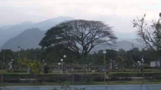 preview picture of video '267 KODAI - PALANI GHAT  TRAVEL VIEWS by www.travelviews.in, www.sabukeralam.blogspot.in'