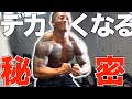 【でかくなる秘訣とは?】トップフィジーカー直輝選手の秘密【筋トレ】【減量】