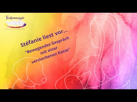 Tierkommunikation: Bewegendes Gespräch mit einer verstorbenen Katze 💕