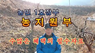 (귀농)농민의 1호 장부,농지원부 그리고 수많은 혜택
