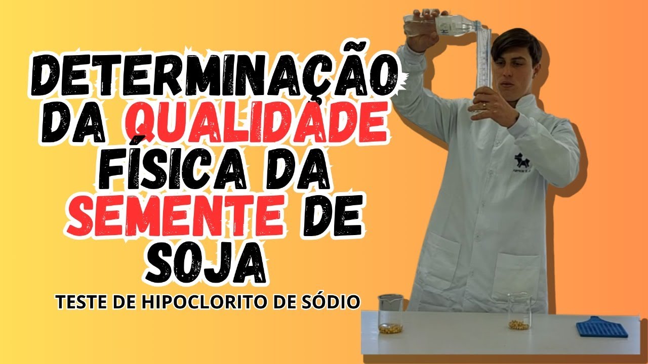 Teste de Hipoclorito de Sódio em Sementes de Soja - Determinação da Qualidade Física