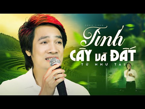 TÌNH CÂY VÀ ĐẤT - TỪ NHƯ TÀI - NHẠC TRỮ TÌNH QUÊ HƯƠNG [Official Music Video]