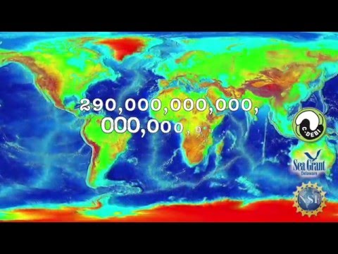 15 Second Science  - Microbe sense of scale