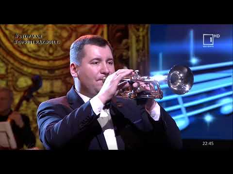 Tudor CHIRIAC - ECOURI CARPATINE