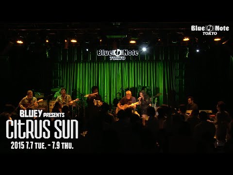 Bluey presents "CITRUS SUN" @Blue Note Tokyo（2015 7.7 tue.）