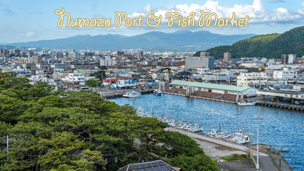 Immersive street-level walking tour through Numazu Minato, Japan, showcasing authentic urban landscapes, local architecture, and the vibrant atmosphere of the city's neighborhoods