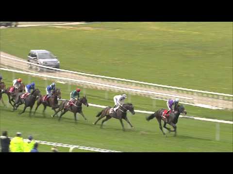 2013 Betfred Dante Stakes - Libertarian