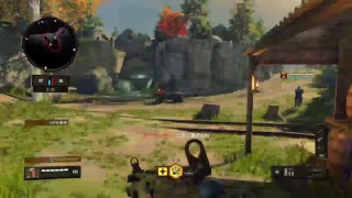 [BO4：参加型]　新シーズン来たからティア上げしよや　　 初見さん大歓迎