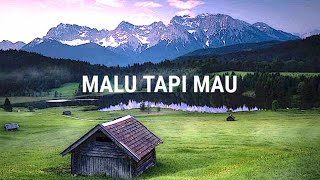 Download lagu lirik lagu malu tapi mau mp3