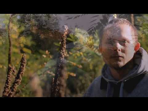 Älmächtig & J-Beats - Andere Realitäten