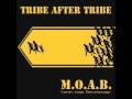Tribe After Tribe - Burning Bush