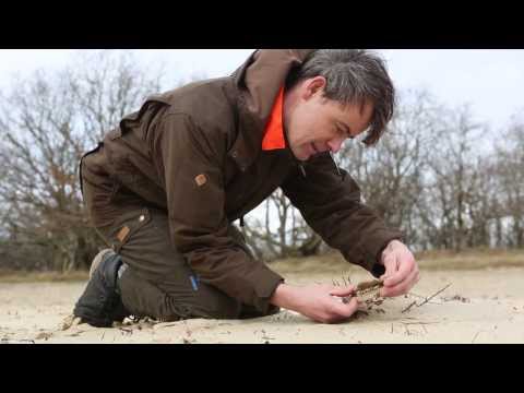 Wat doet een boswachter van PWN