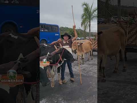 ENCONTRO DE CARREIROS EM PEDRA DO INDAIÁ.
