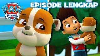 Download lagu PAW Patrol EPISODE LENGKAP | Pups Mendapatkan Rubble! 💛 | Kartun untuk Anak mp3