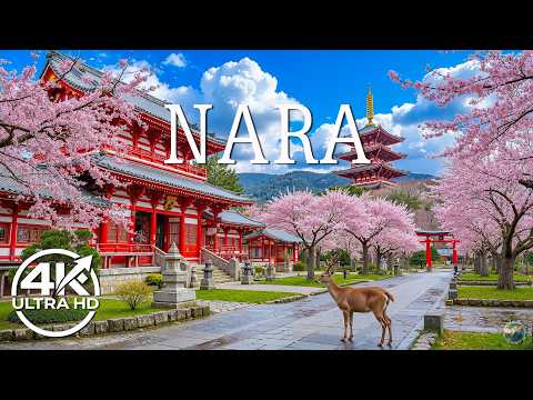 Nara Spring 4K 🌸 Stunning Sakura Landscapes, Calm Deer Paths & Ancient Temple Scenery