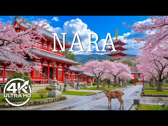 Nara Spring 4K 🌸 Stunning Sakura Landscapes, Calm Deer Paths & Ancient Temple Scenery