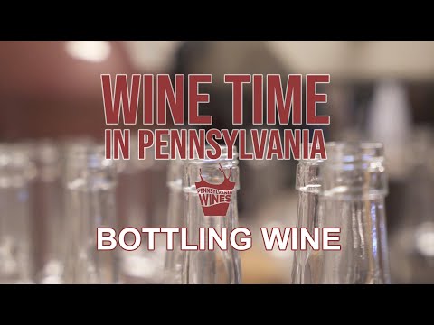 WineTime | Engarrafamento de Vinho | Temporada 2 Episódio 01