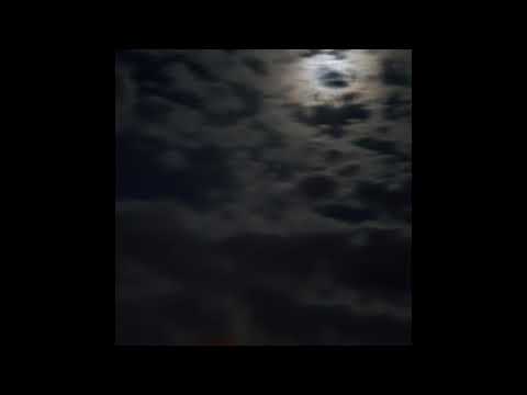 Nibs - withdrawal (freestyle) (prod. stoic beats)