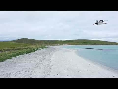 Berneray beaches and oyster catchers North Uist Scotland