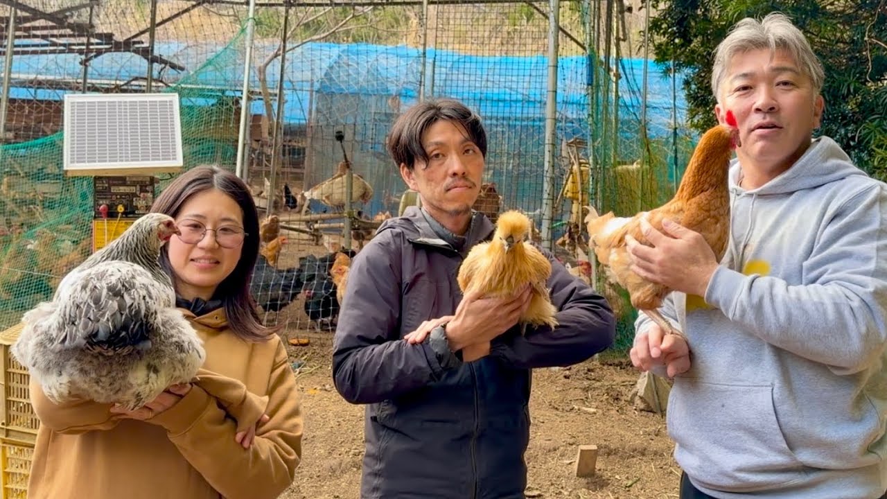 【ご報告】この子たちとしばらくお別れすることになりました