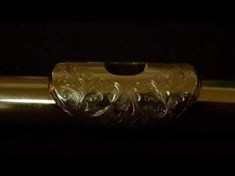 @ionbogdanstefanescu  Telemann - Sonata for two flutes IX