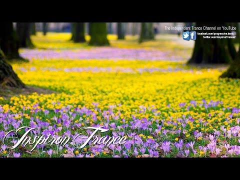 Napalm D-Phrag - Xanadu (Cut From Basil Set) enTc [HD]