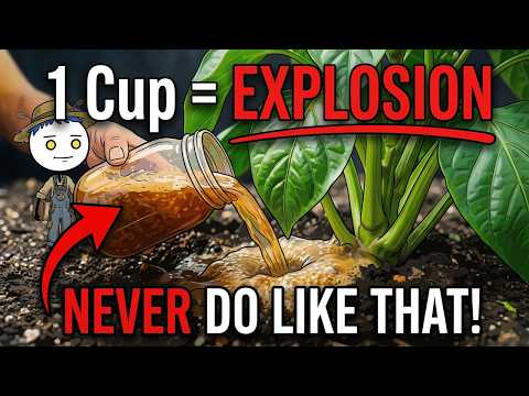 One Cup of Fermented Ash Makes Plants Grow CRAZY Fast, But Why Does Nobody Talk About This?