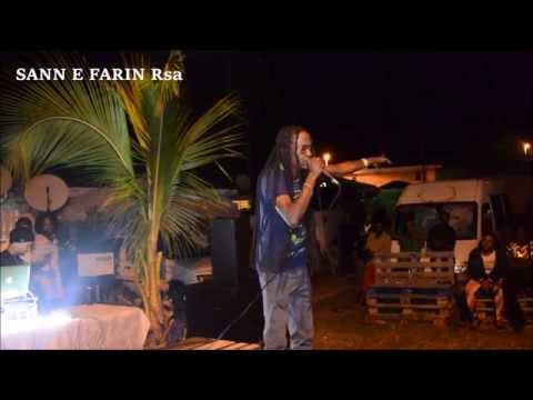 ZEBRIST TELL DEM  Extrait live Sound Systèm Love in Action 14/02/15