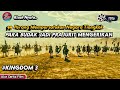 KINGDOM 3 KETIKA 7 NEGARA PERANG SELAMA 500 TAHUN