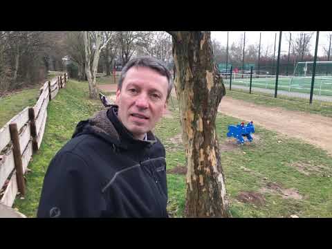 Der Vorstand berichtet - März 2019