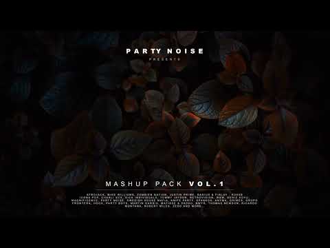 Justin Prime (Ft. Onderkoffer) vs. DARIUS & FINLAY vs. R3hab -  WTF? vs. And I (Party Noise Mashup)