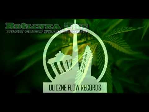 PLON CREW Wawa X Zły Feat.Rzepetto - Roślinka THC 🎧 Prod.Whtt