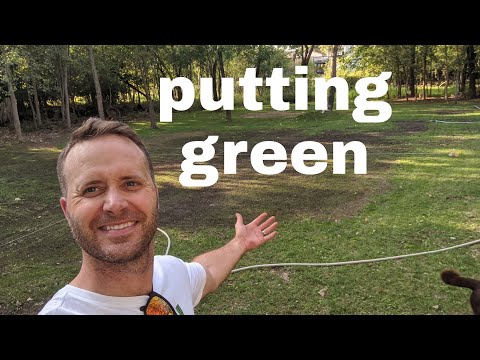 DIY Bentgrass putting green in ST LOUIS (start to finish w results)