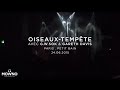 OISEAUX-TEMPÊTE - ÜTOPIYA? release party - Live ...