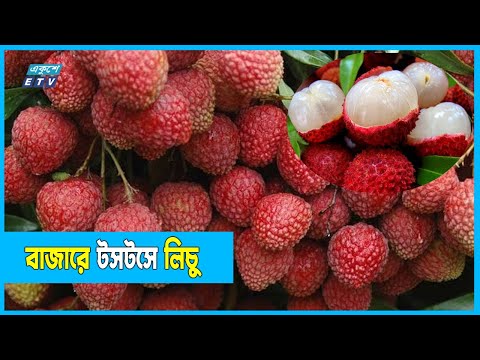 প্রকৃতিতে মধুমাস, বাজারে লিচুর সমাহার...