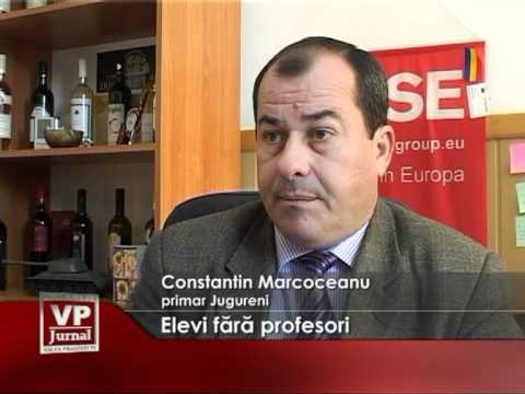 Elevi fara profesori