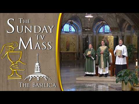 The Sunday Mass — February 8, 2026 — 5th Sunday in Ordinary Time CC