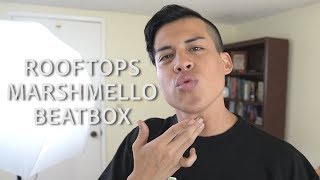 Beatbox Remixing &quot;Rooftops&quot; by Marshmello - Spencer X