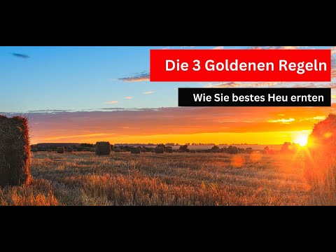Heuernte: Die 3 goldenen Regeln