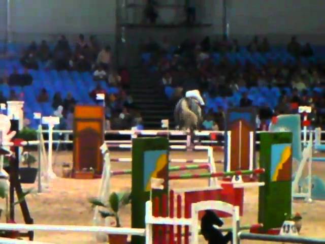 The full-brother of the great-grandmother is the CSI 1.60m jumping horse Dancer van't Heike with rider Domenico Morosoli.