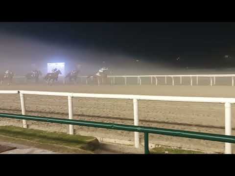 Pacholli - Campeones Distaff