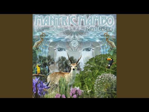 Sabedoria das Plantas